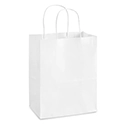 White Paper Plain Shirt Carry Bag 100/cs