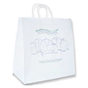 Professional Care Paper Shirt Bag 200/cs